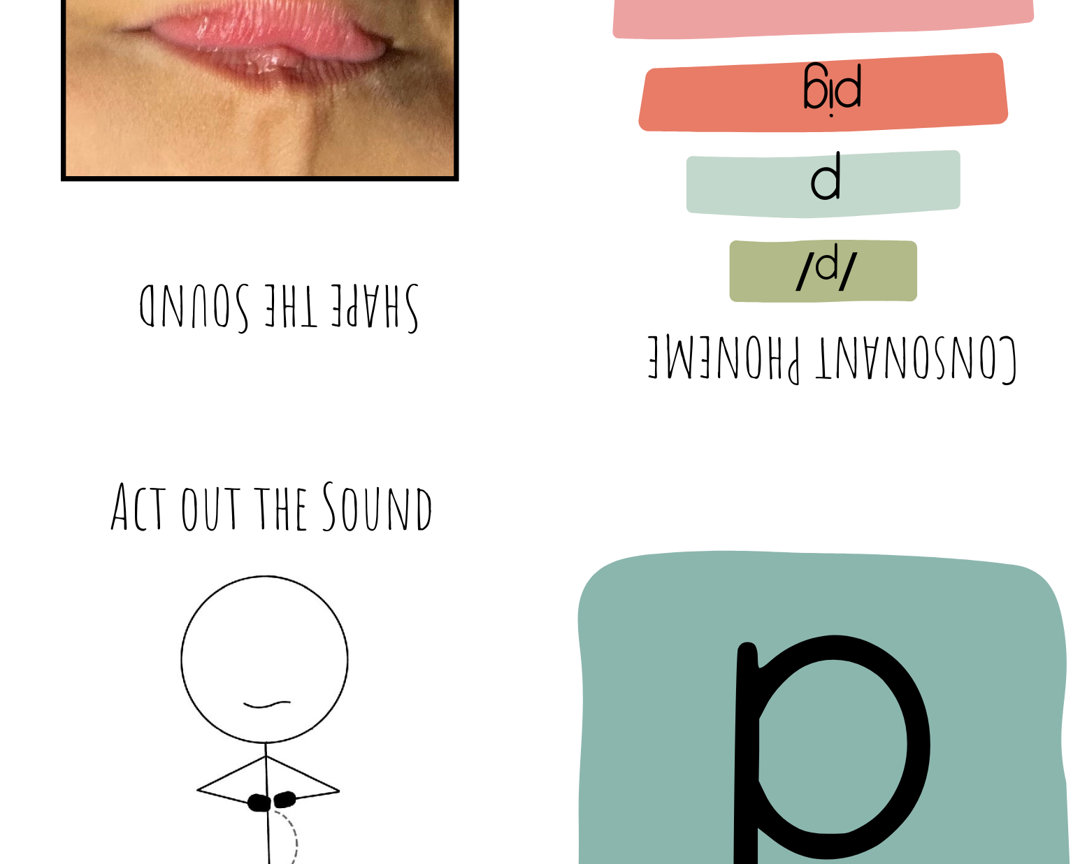 Alphabet & Phenome Booklets - The Alphabet And Phenome Booklets Serve Many Science Reading Phonics