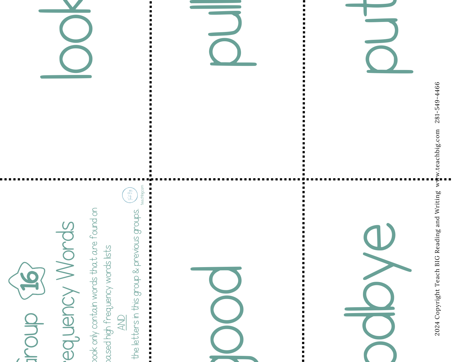 High Frequency Words Booklet - Group 16 | These High Frequency Booklets Are Paramount When