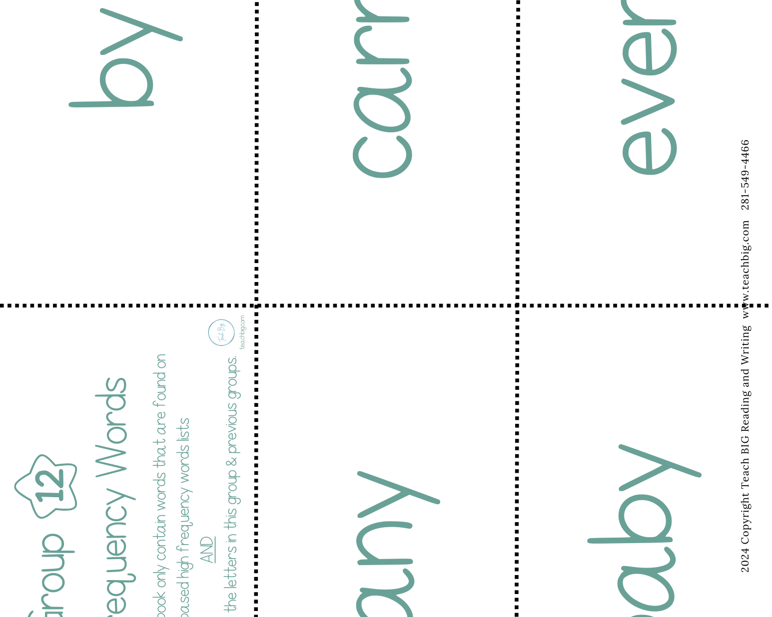 High Frequency Words Booklet - Group 12 | These High Frequency Booklets Are Paramount When
