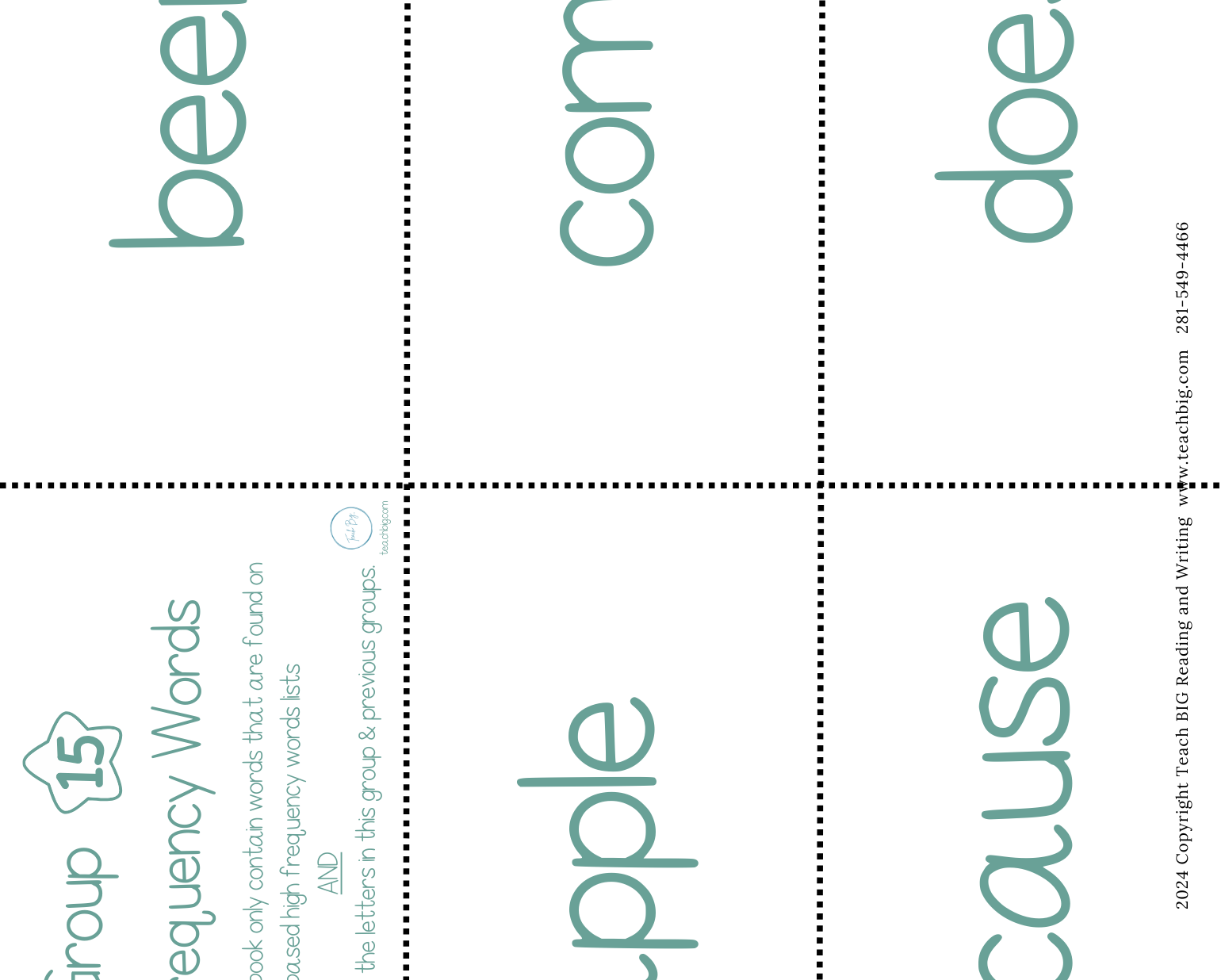High Frequency Words Booklet - Group 15 | These High Frequency Booklets Are Paramount When
