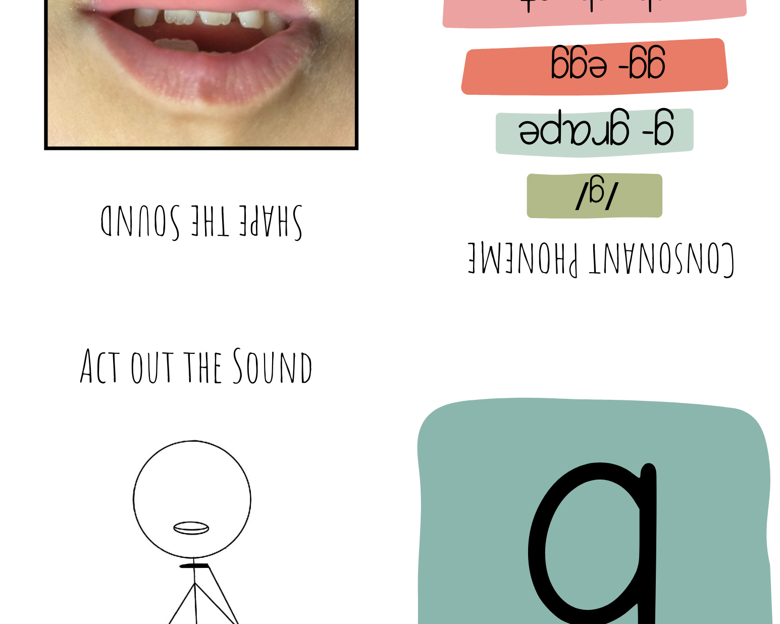 Alphabet & Phenome Booklets - The Alphabet And Phenome Booklets Serve Many Science Reading Phonics