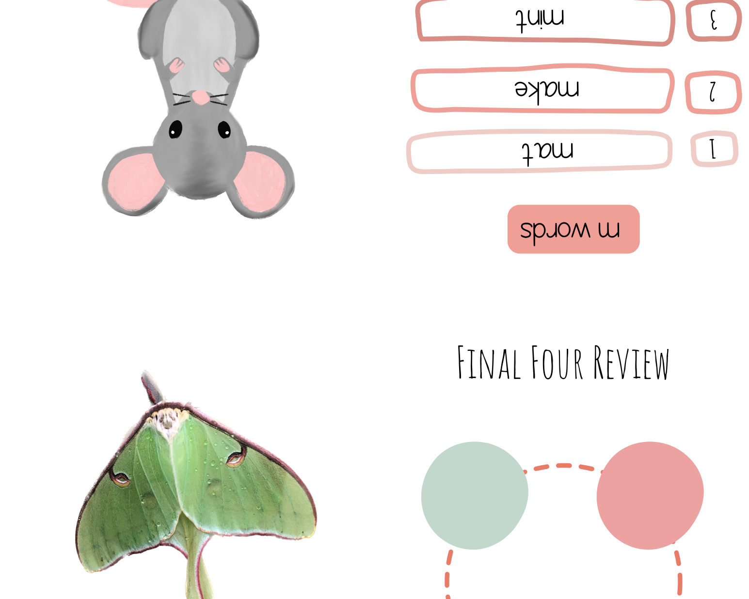 Alphabet & Phenome Booklets - The Alphabet And Phenome Booklets Serve Many Science Reading Phonics