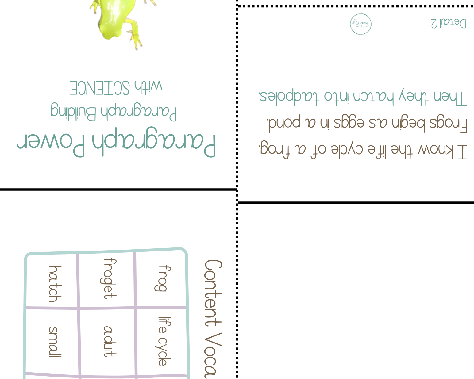 Paragraph Power Science The Lifecycle Of Frogs | Whether It Is A Small Group Paired Student Activity