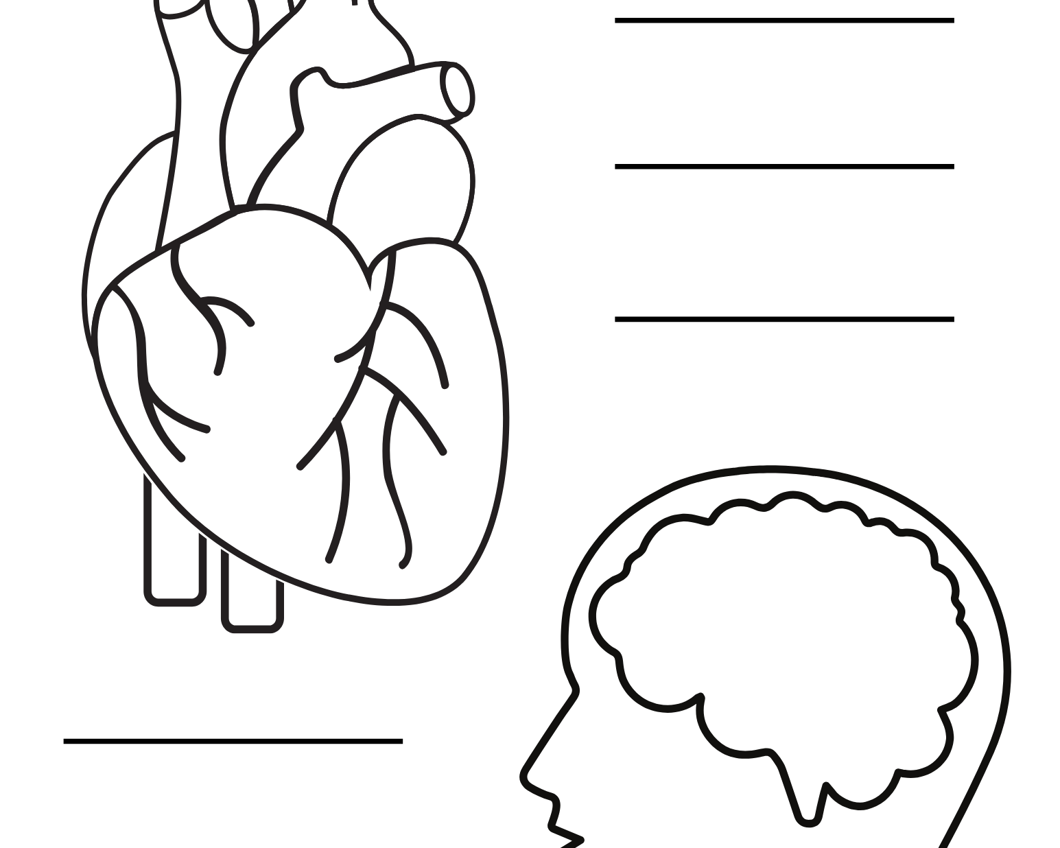 Character Traits - This Resource Is Great For Grades 2-3.