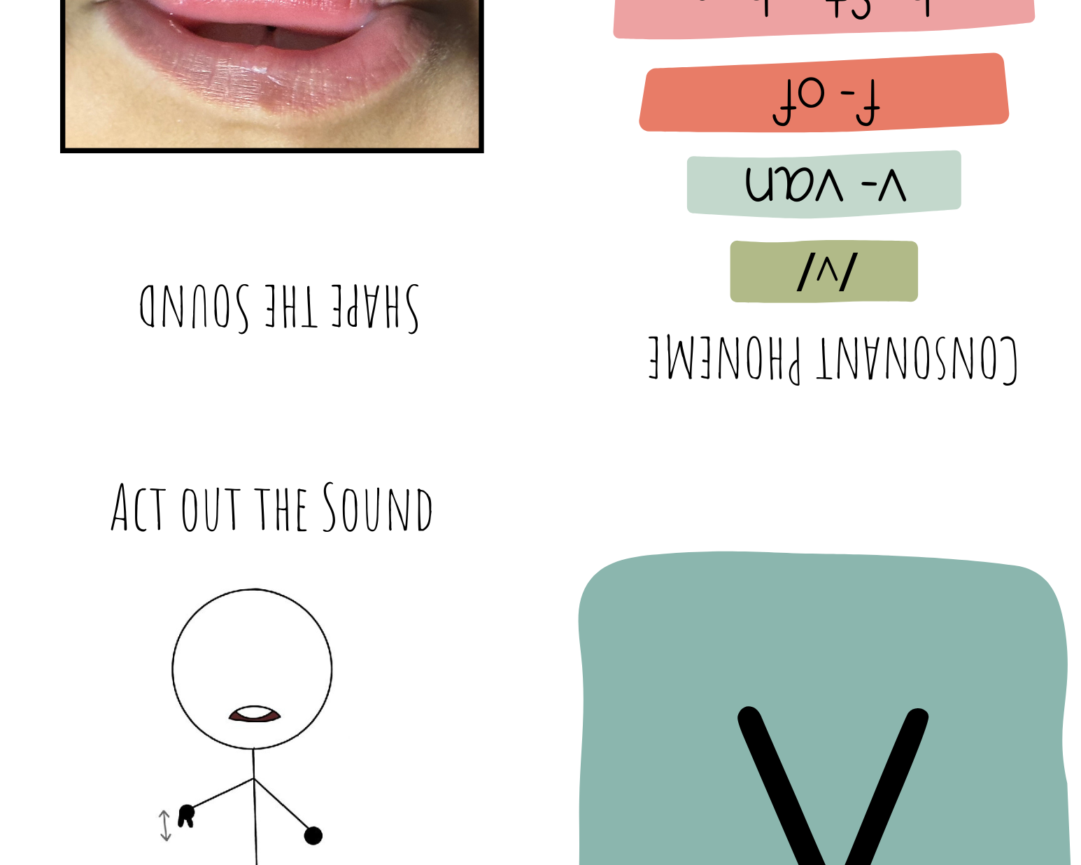 Alphabet & Phenome Booklets - The Alphabet And Phenome Booklets Serve Many Science Reading Phonics