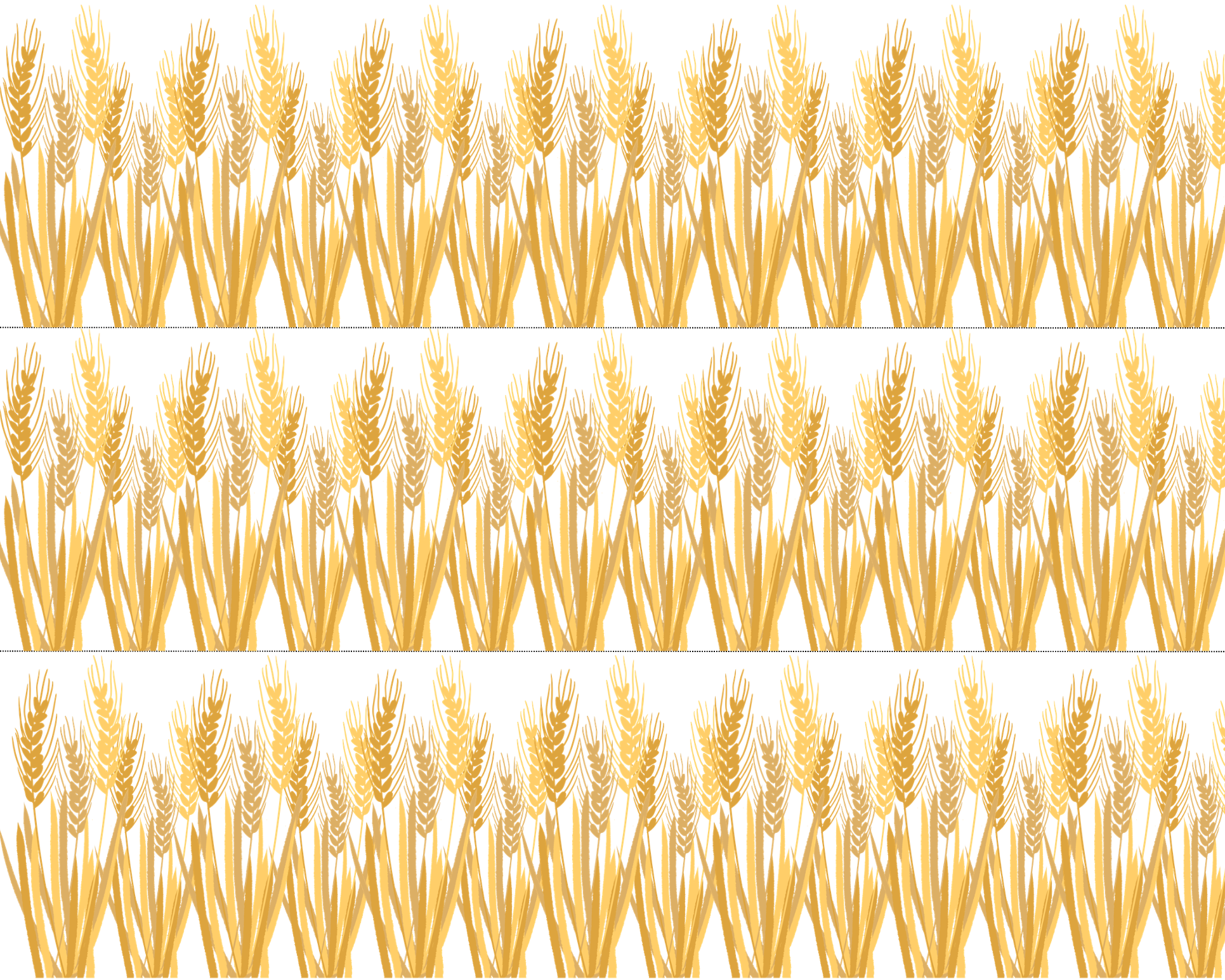 Bulletin Board Border Set Ranch Theme