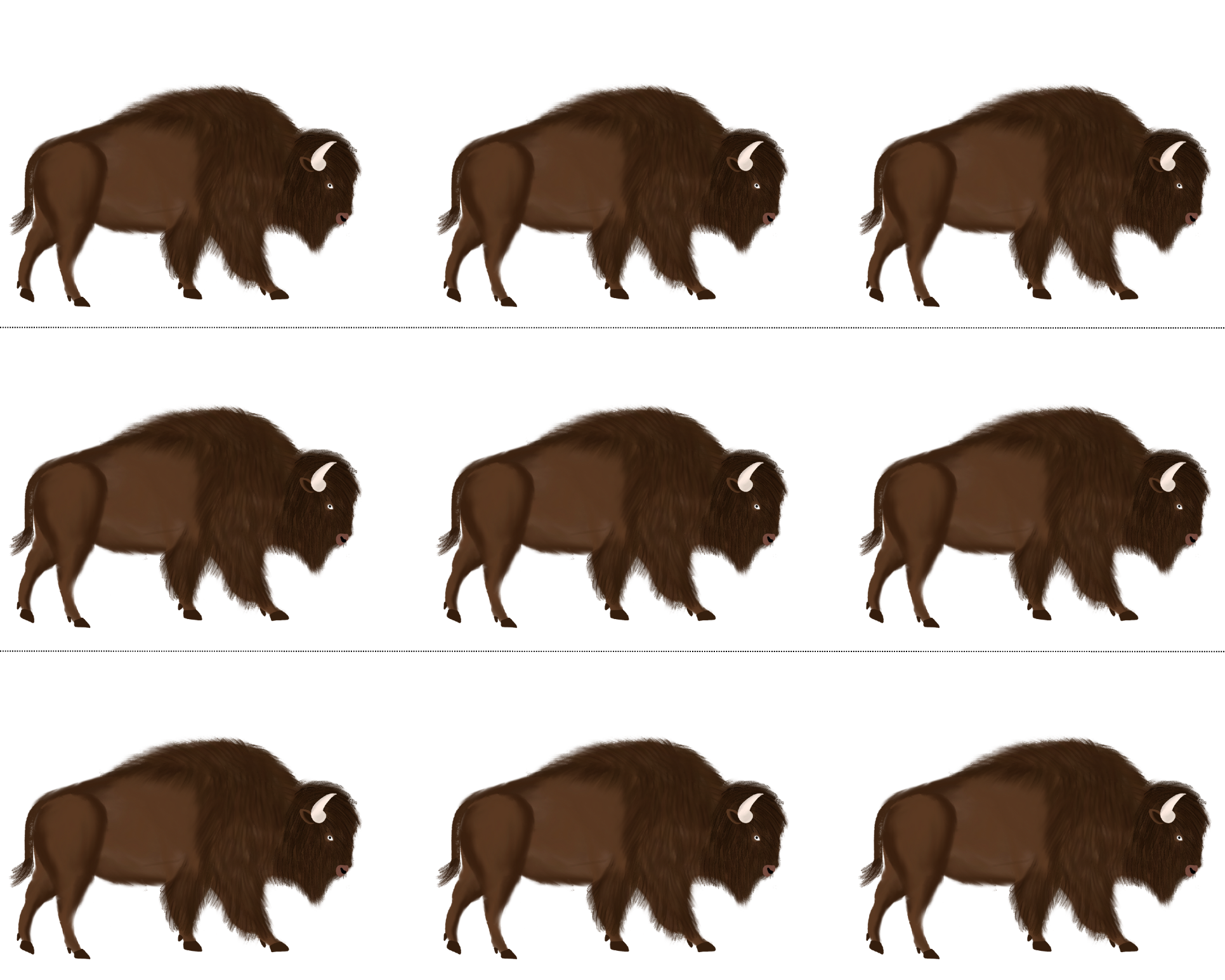 Bulletin Board Border Set Ranch Theme