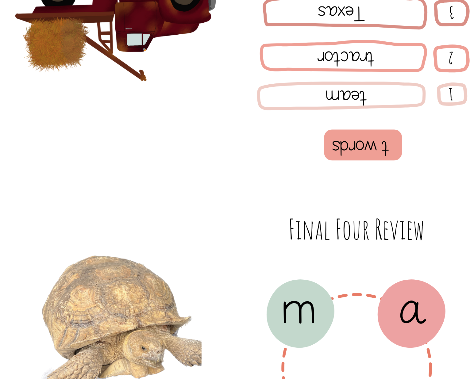 Alphabet & Phenome Booklets - The Alphabet And Phenome Booklets Serve Many Science Reading Phonics