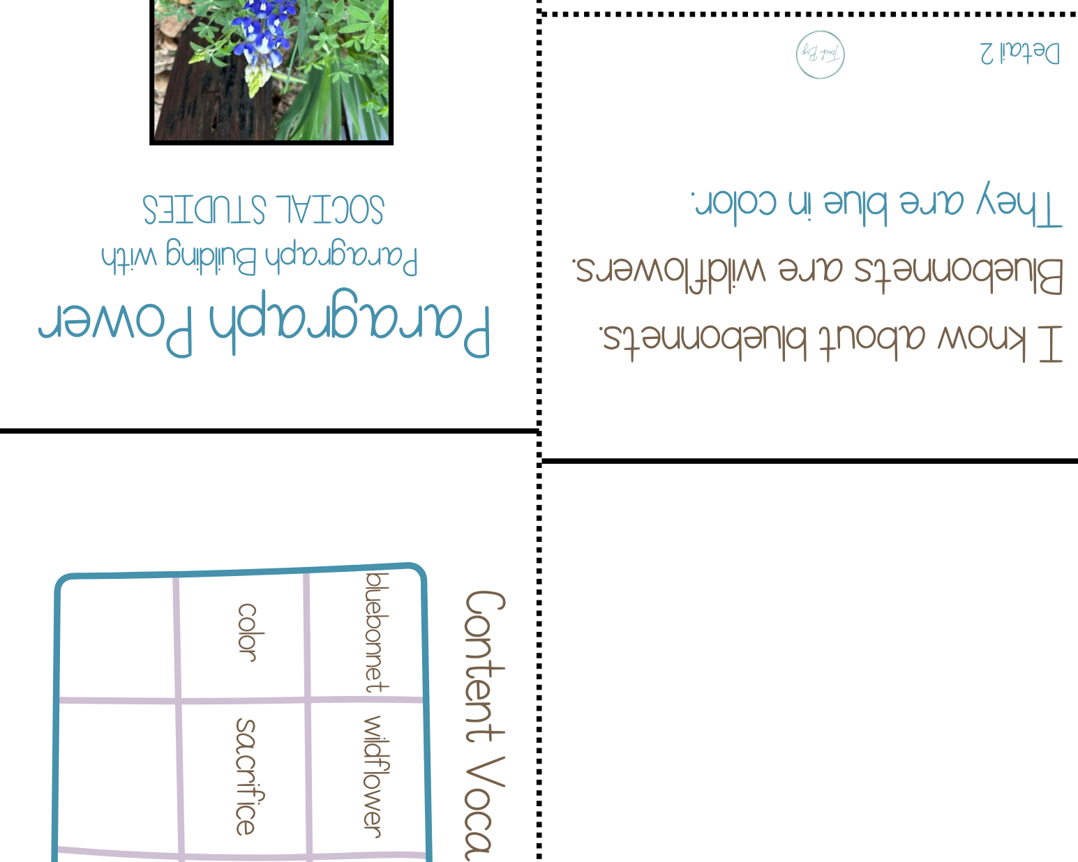 Paragraph Power - Social Studies Blue Bonnets | Whether It Is A Small Group Paired Student Activity