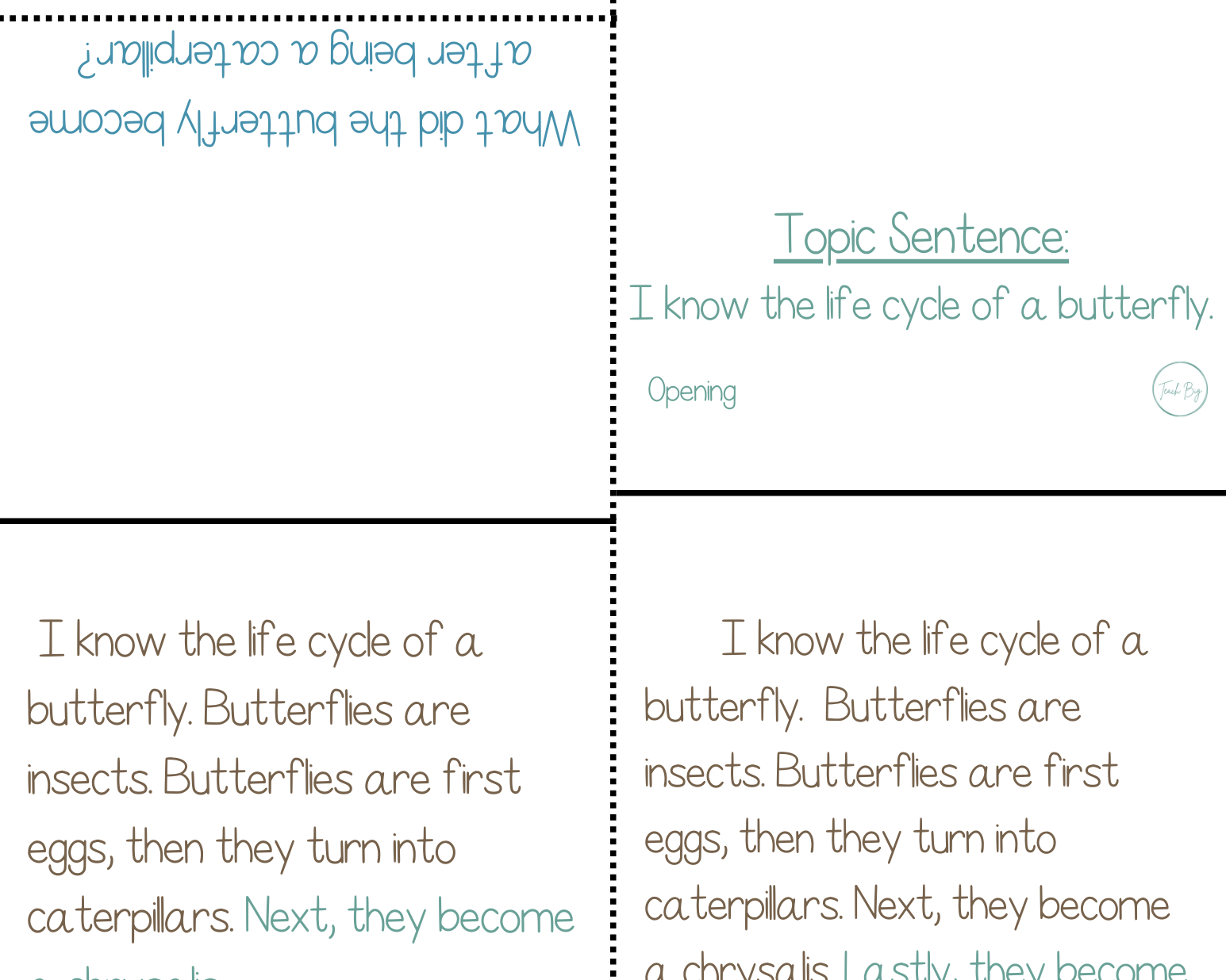 Paragraph Power - Science Life Cycle Of Butterflies | Whether It Is A Small Group Paired Student