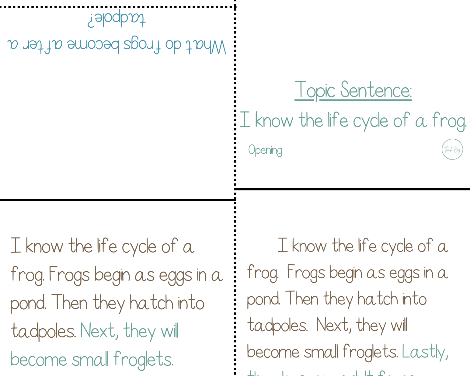 Paragraph Power - Science Life Cycle Of Frogs | Whether It Is A Small Group Paired Student Activity