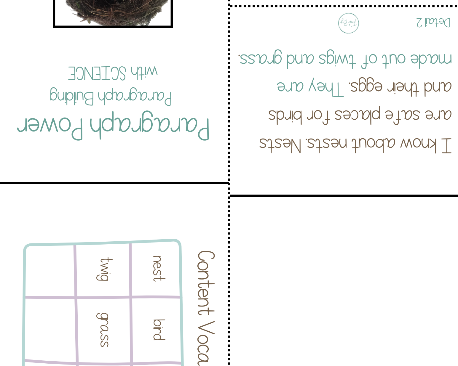 Paragraph Power - Science Nests | Whether It Is A Small Group Paired Student Activity Or An