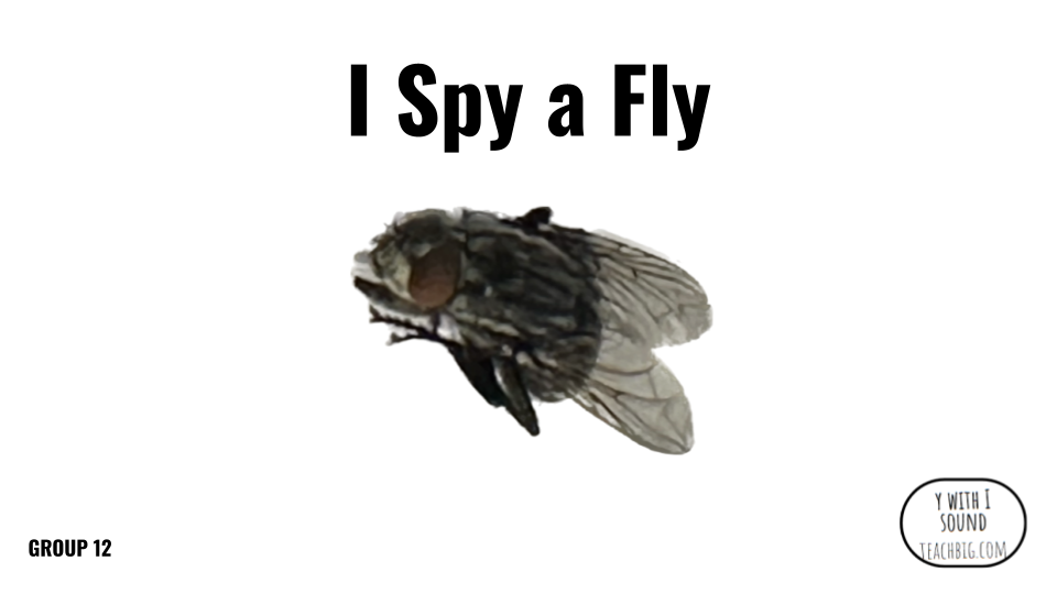 Direct Decodable – I Spy A Fly - Group 12 Level A