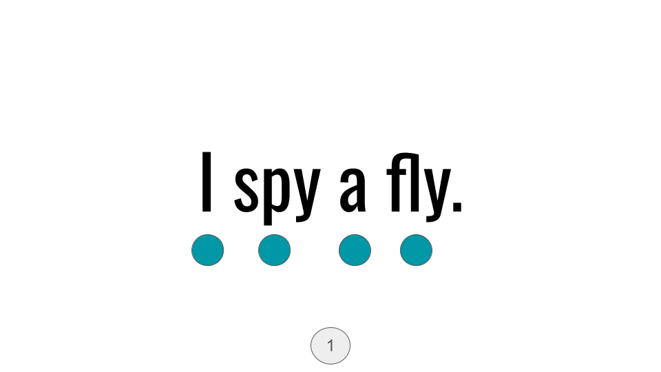 Direct Decodable – I Spy A Fly - Group 12 Level A