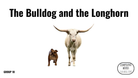 Direct Decodable – The Bulldog And The Longhorn- Group 10 - Level A