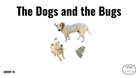 Direct Decodable – The Dogs & Bugs - Group 19 Level A