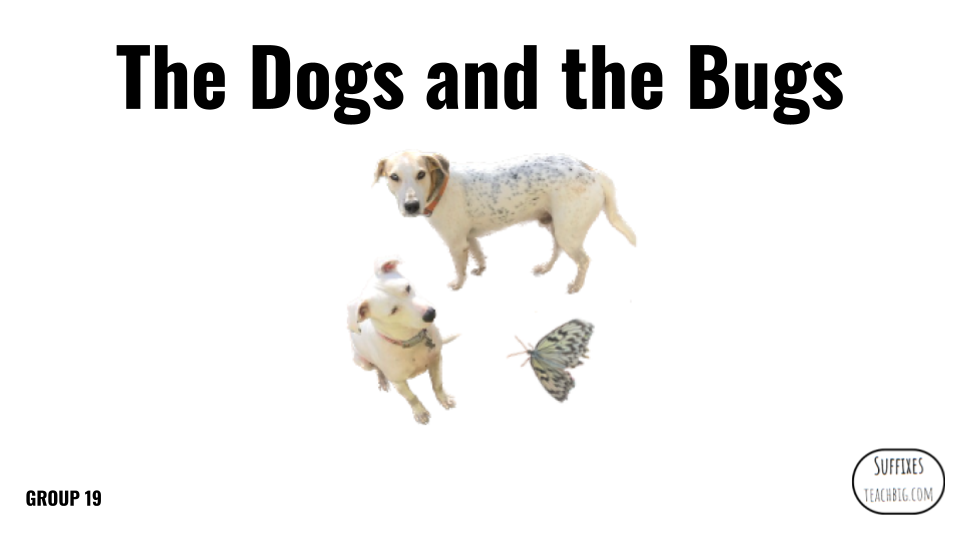 Direct Decodable – The Dogs & Bugs - Group 19 Level A