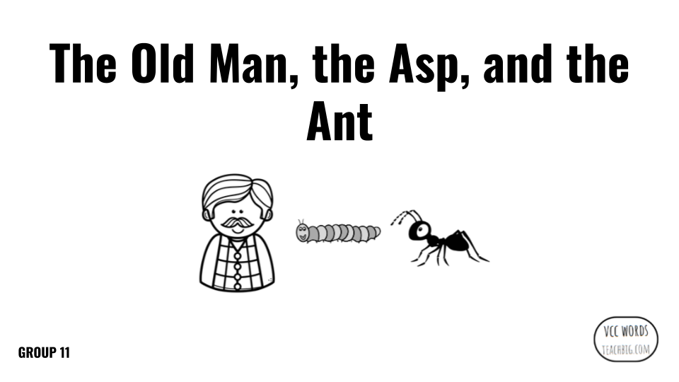 Direct Decodable – The Old Man The Asp And Ant- Group 11 - Level A