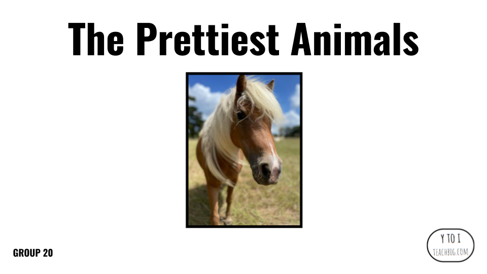 Direct Decodable – The Prettiest Animals - Group 20 Level A