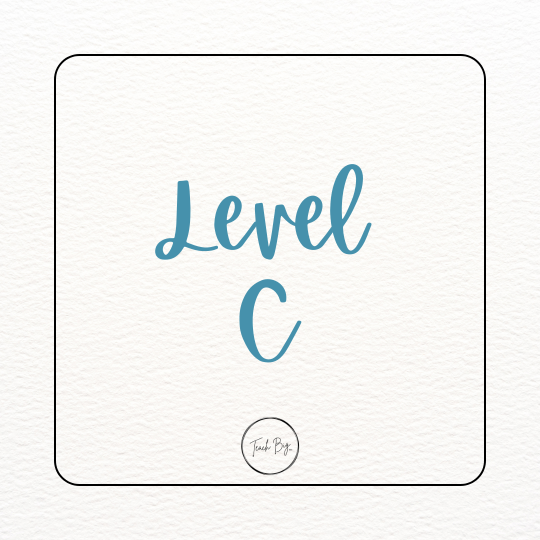 Level C