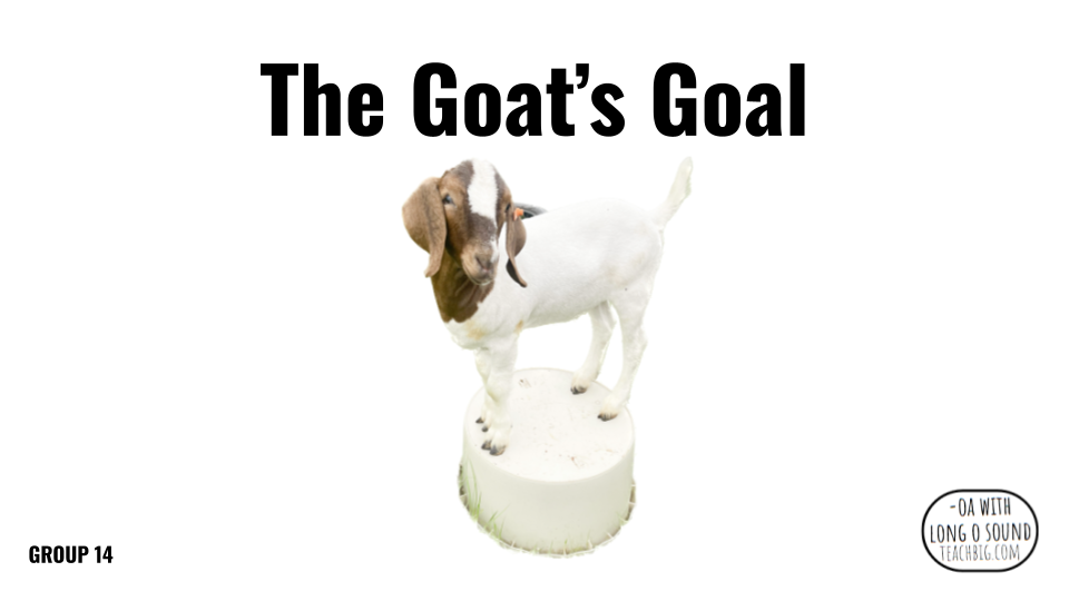 Direct Decodable – The Goat’s Goal - Group 14 Level A