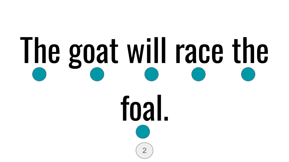 Direct Decodable – The Goat’s Goal - Group 14 Level A