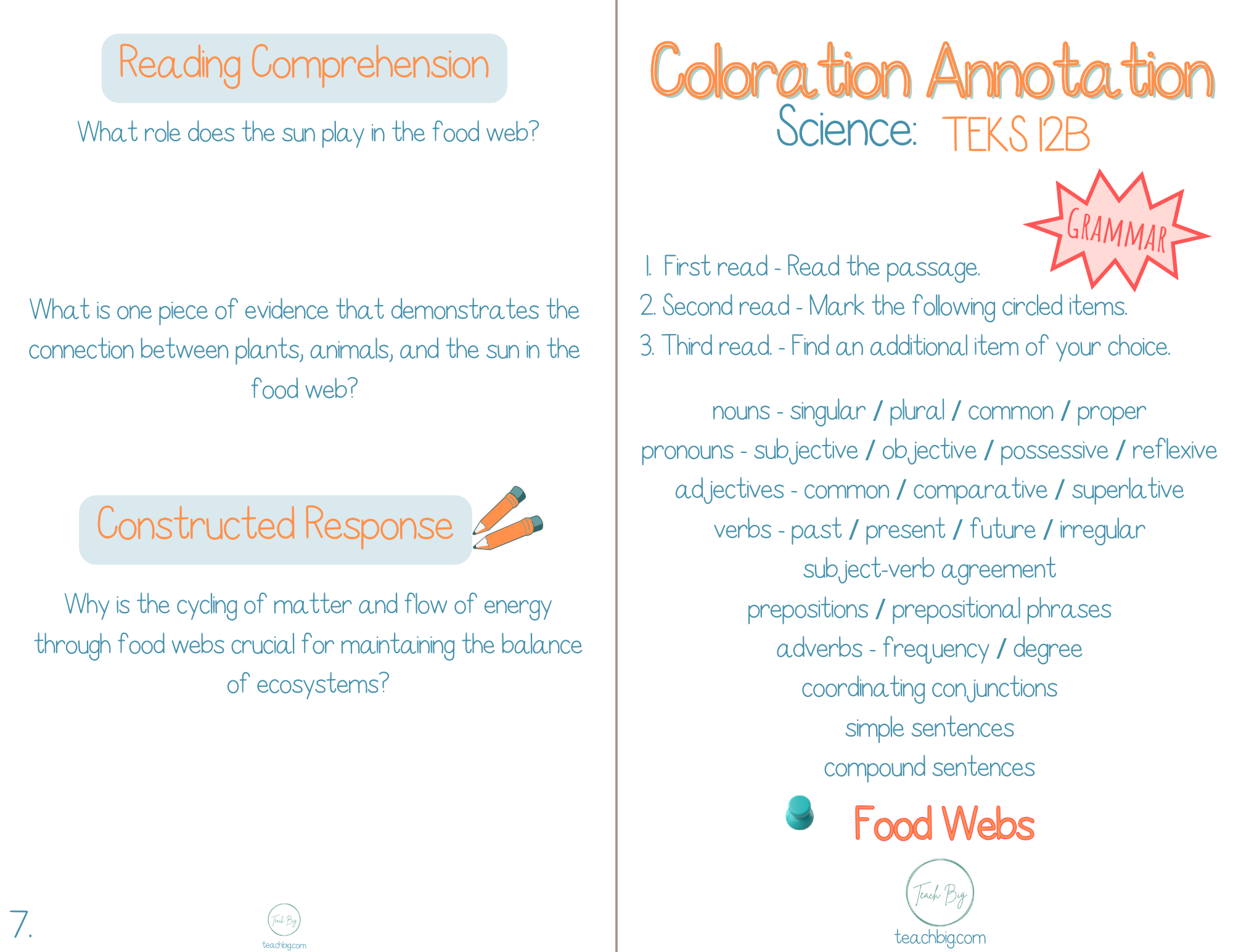 4Th Grade Coloration Annotation: Science - Grammar