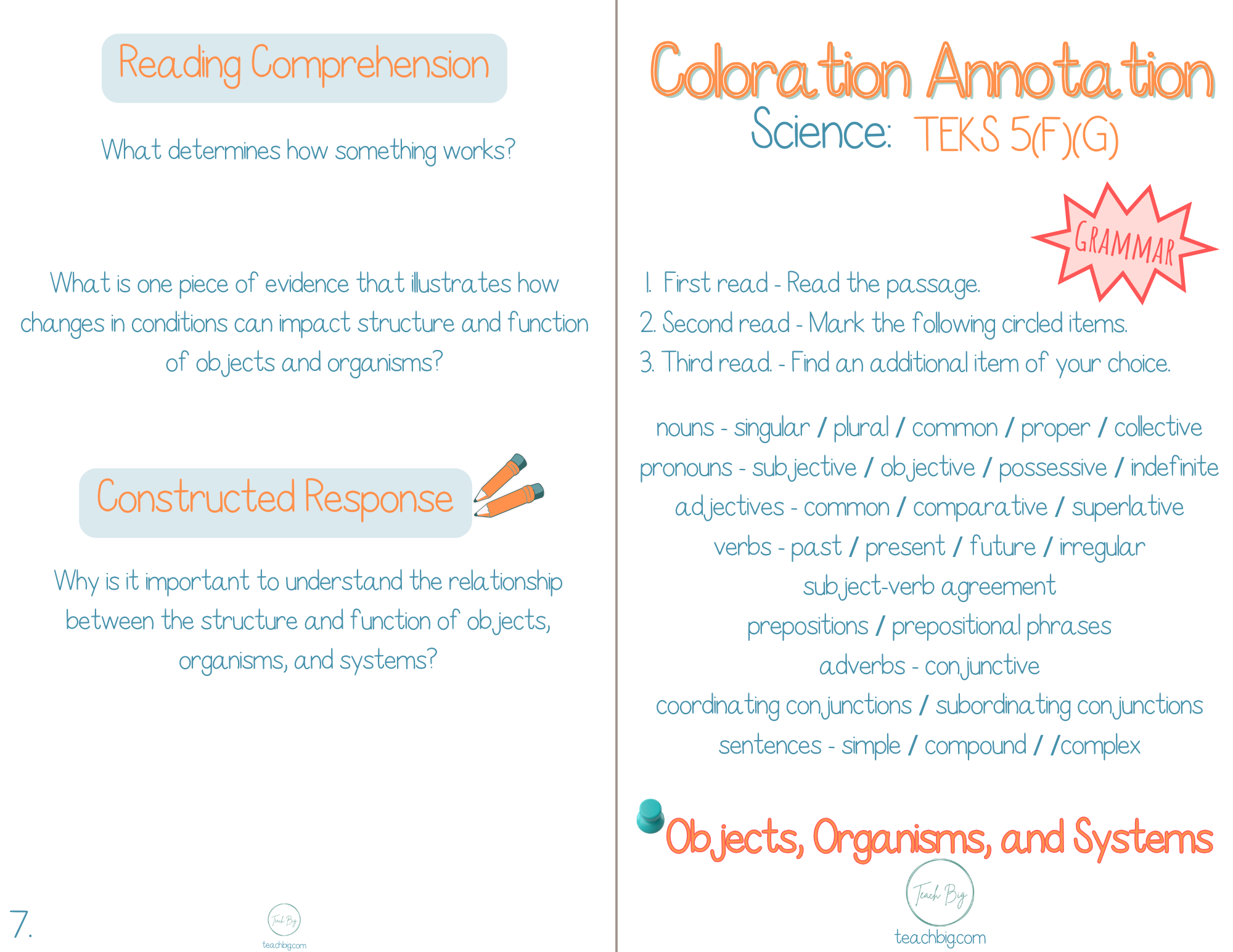 5Th Grade Coloration Annotation: Science - Grammar