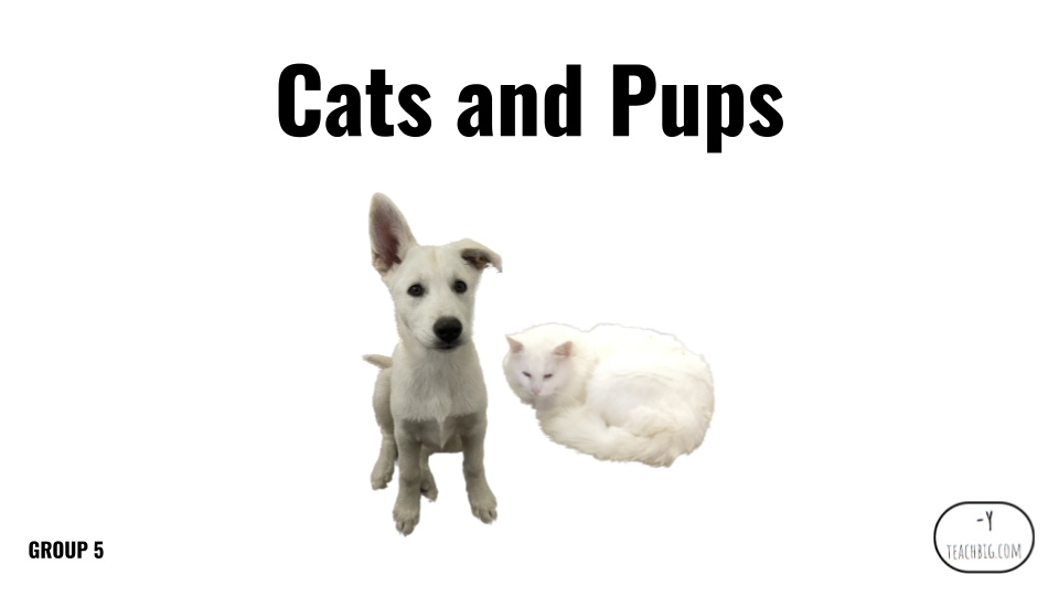 Direct Decodable – Cats And Pups - Group 5 Level A