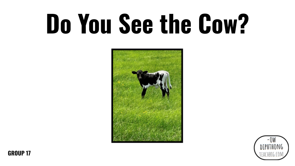 Direct Decodable – Do You See The Cow? - Group 17 Level A