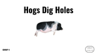 Direct Decodable – Hogs Dig Holes - Group 4 Level A