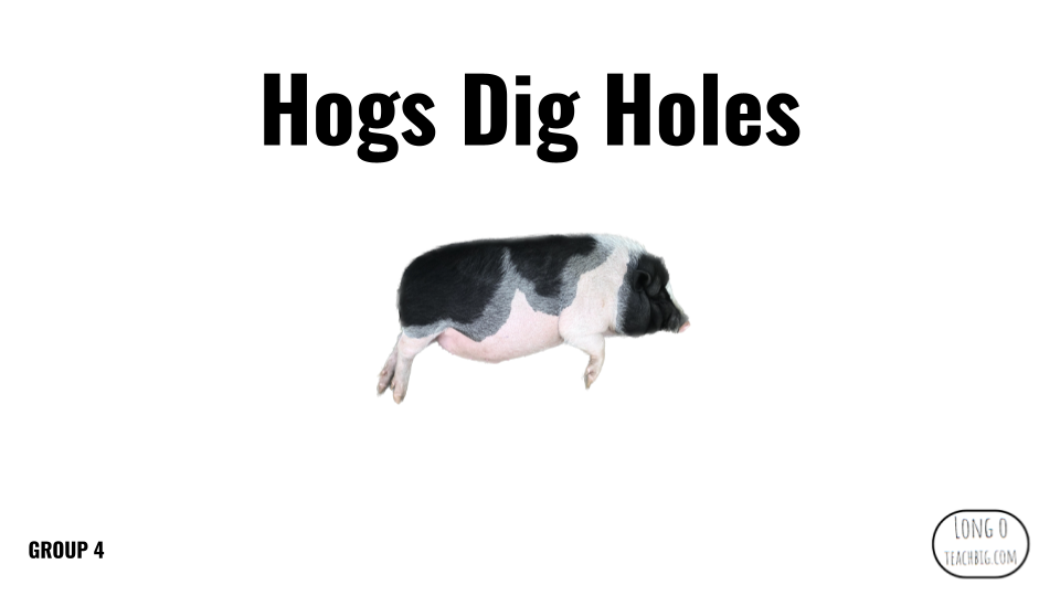 Direct Decodable – Hogs Dig Holes - Group 4 Level A