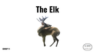 Direct Decodable – The Elk - Group 11 Level A