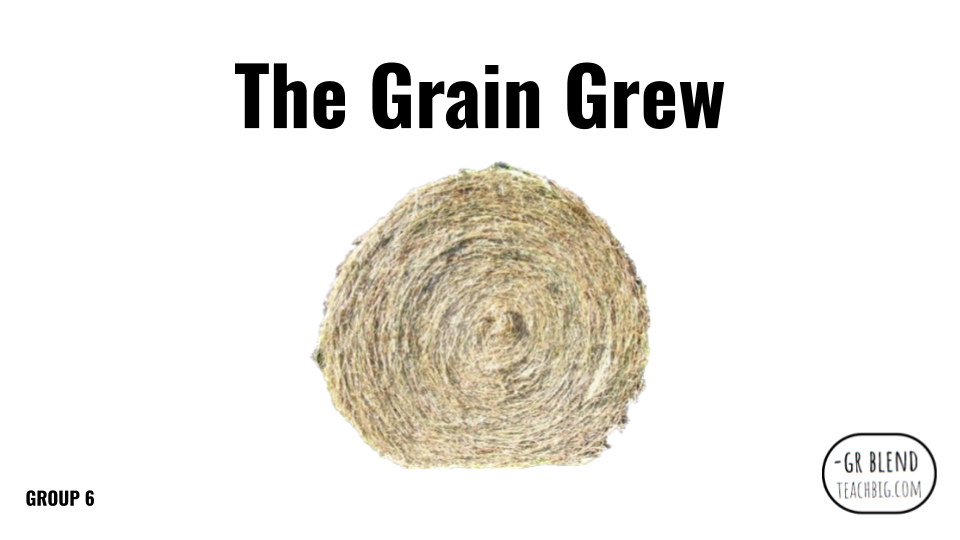 Direct Decodable – The Grain Grew - Group 6 Level A