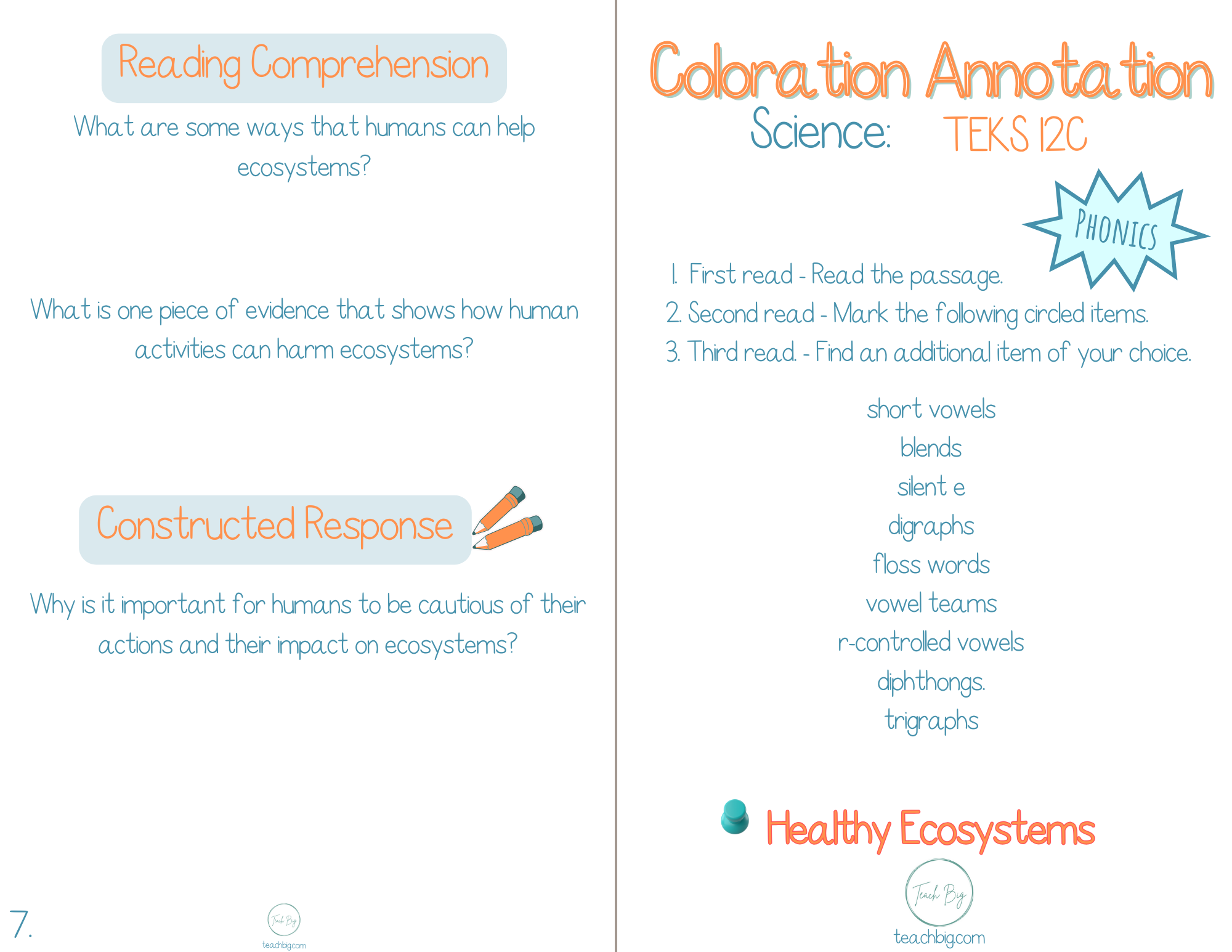 5Th Grade Coloration Annotation: Science - Phonics