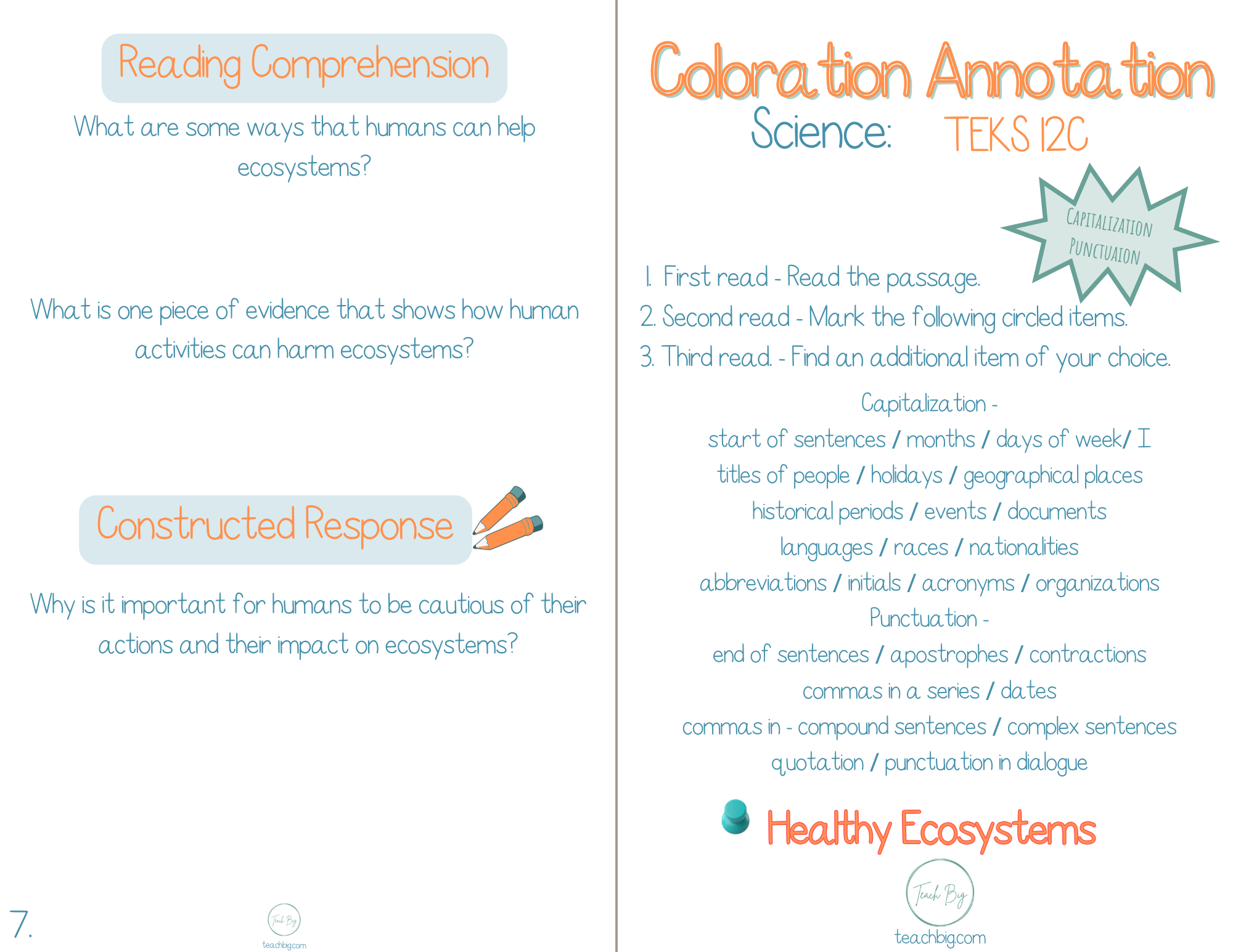 5Th Grade Coloration Annotation: Science - Capitalization & Punctuation