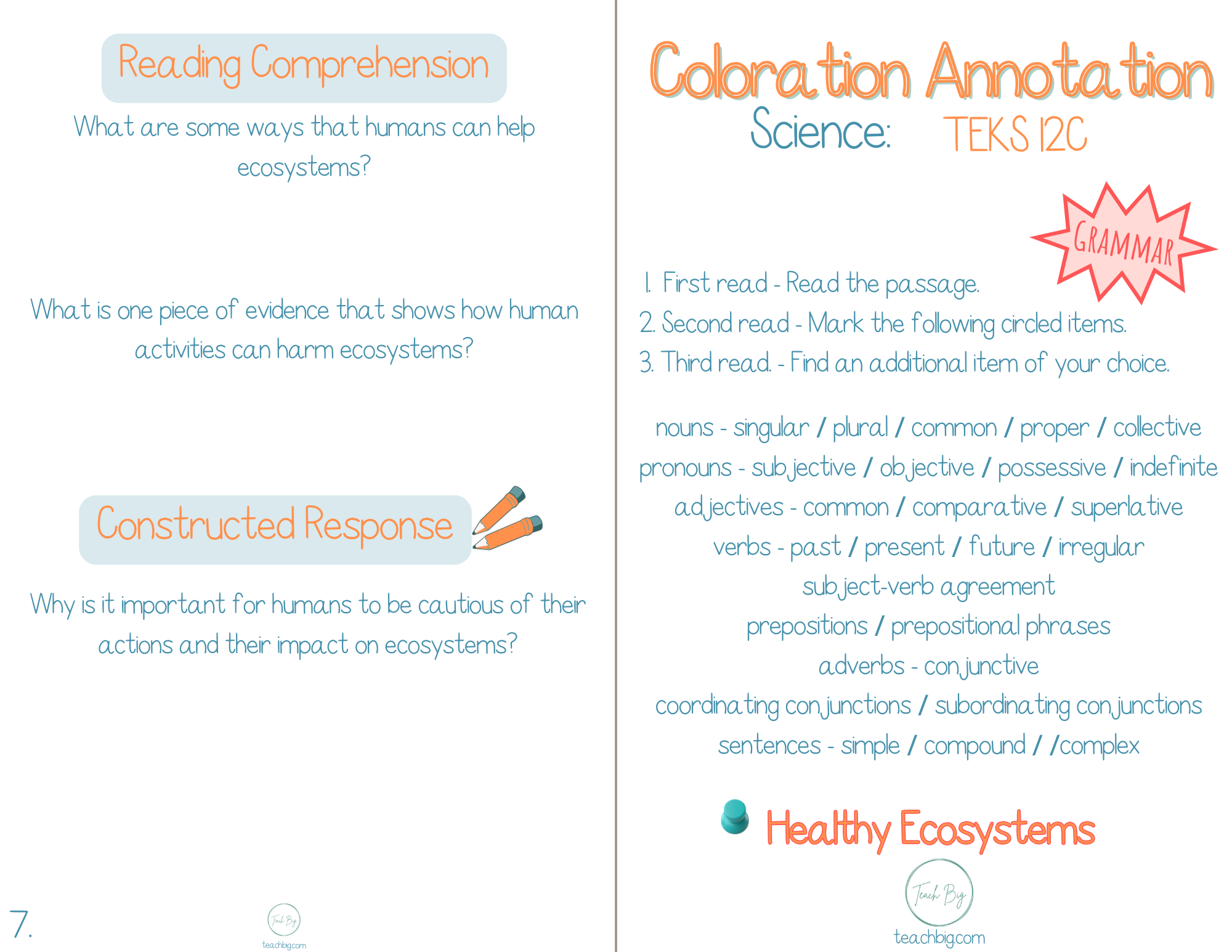 5Th Grade Coloration Annotation: Science - Grammar