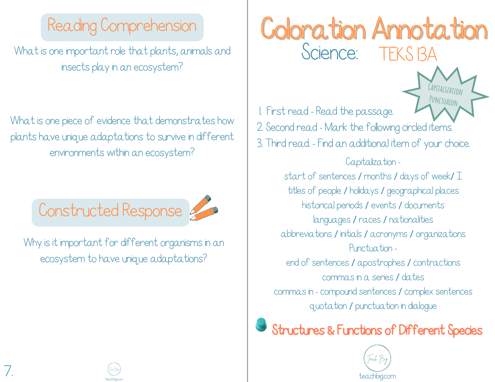 5Th Grade Coloration Annotation: Science - Capitalization & Punctuation