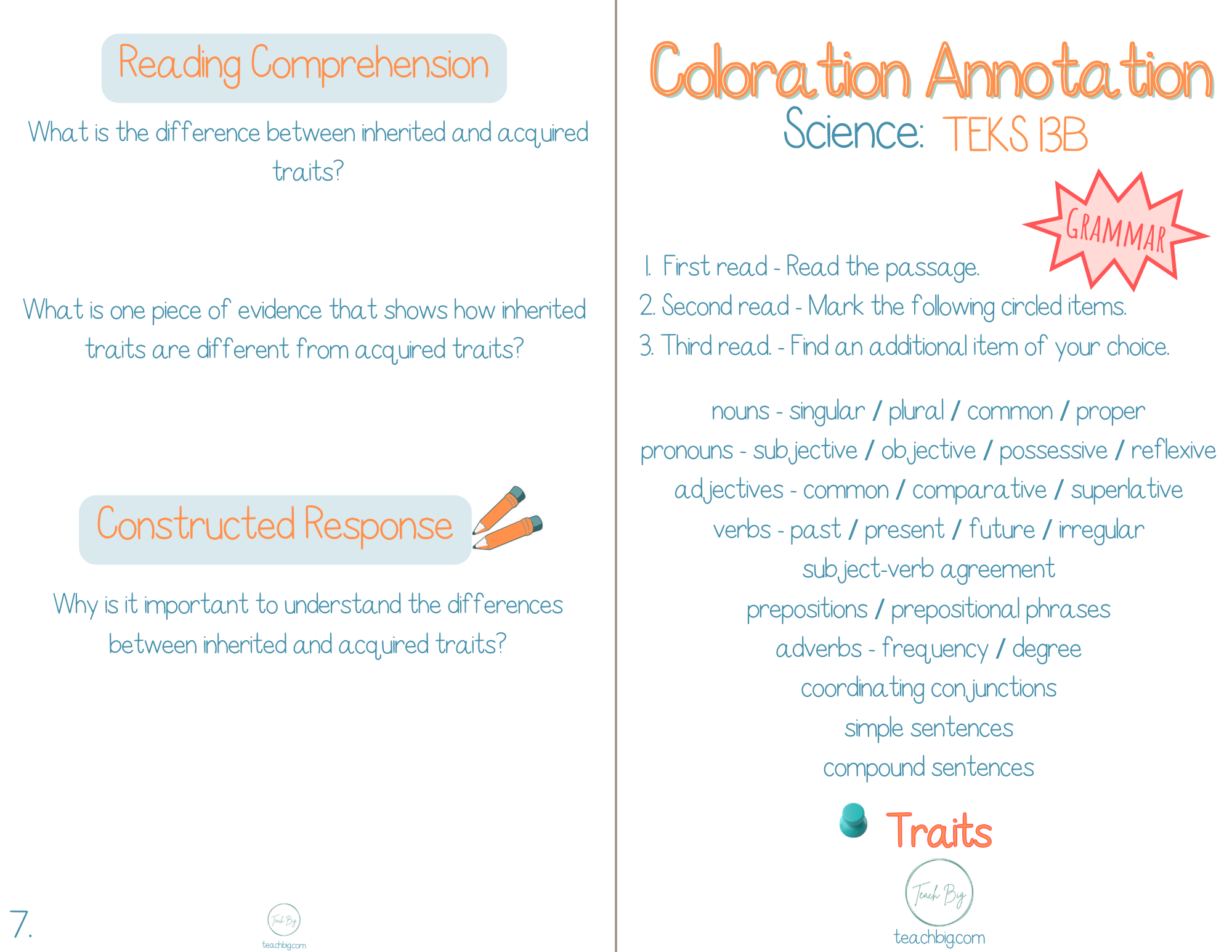 4Th Grade Coloration Annotation: Science - Grammar