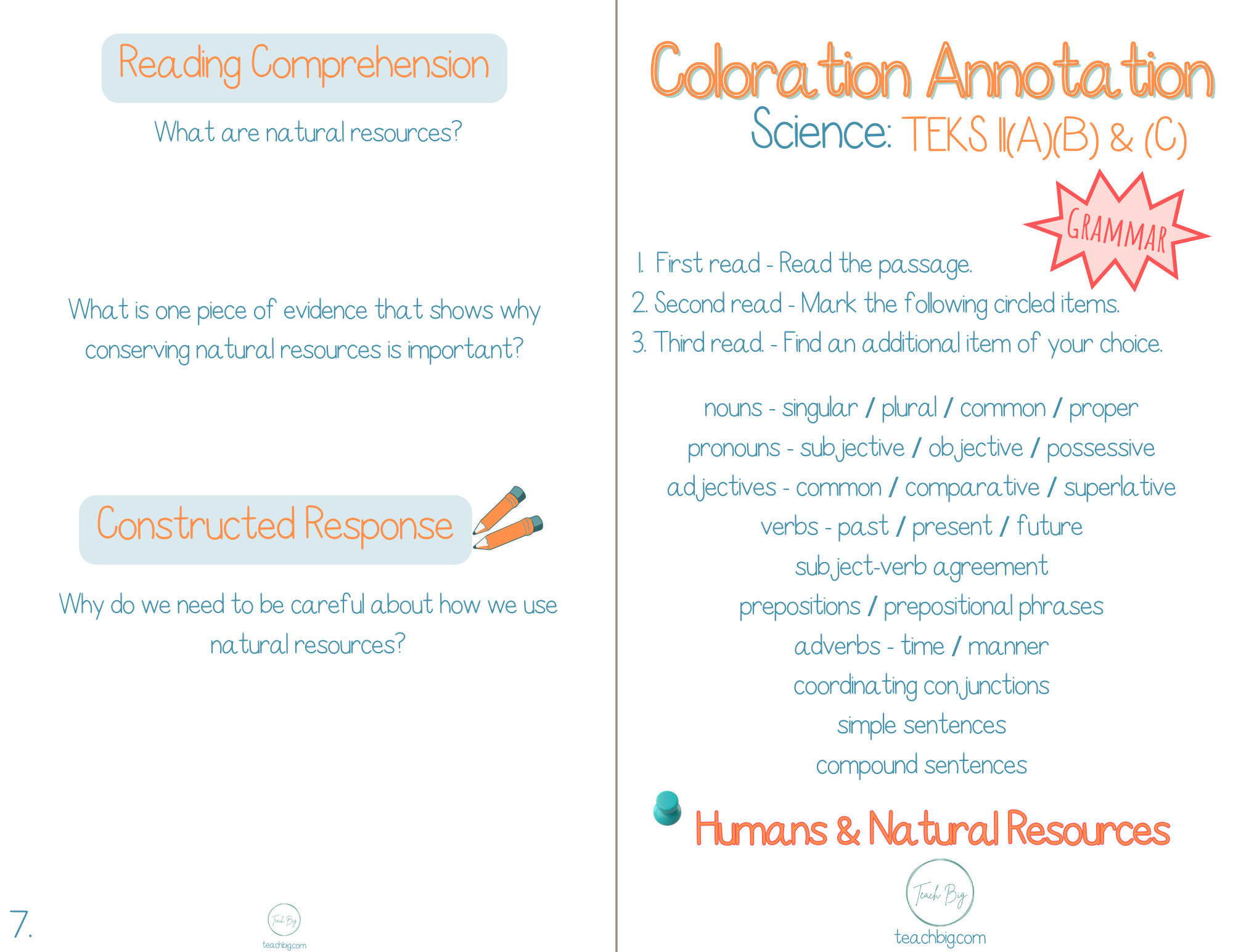 3Rd Grade Coloration Annotation: Science - Grammar