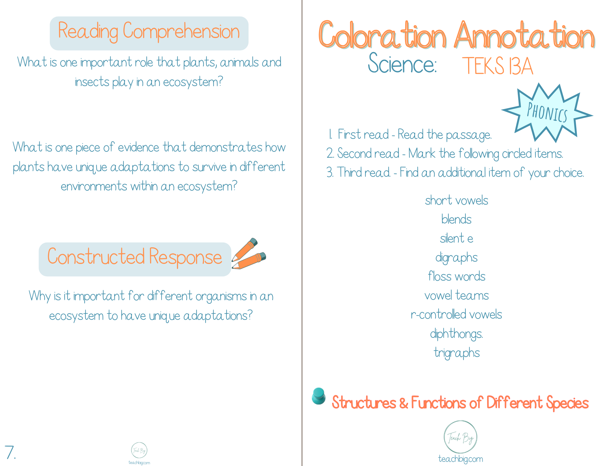 5Th Grade Coloration Annotation: Science - Phonics