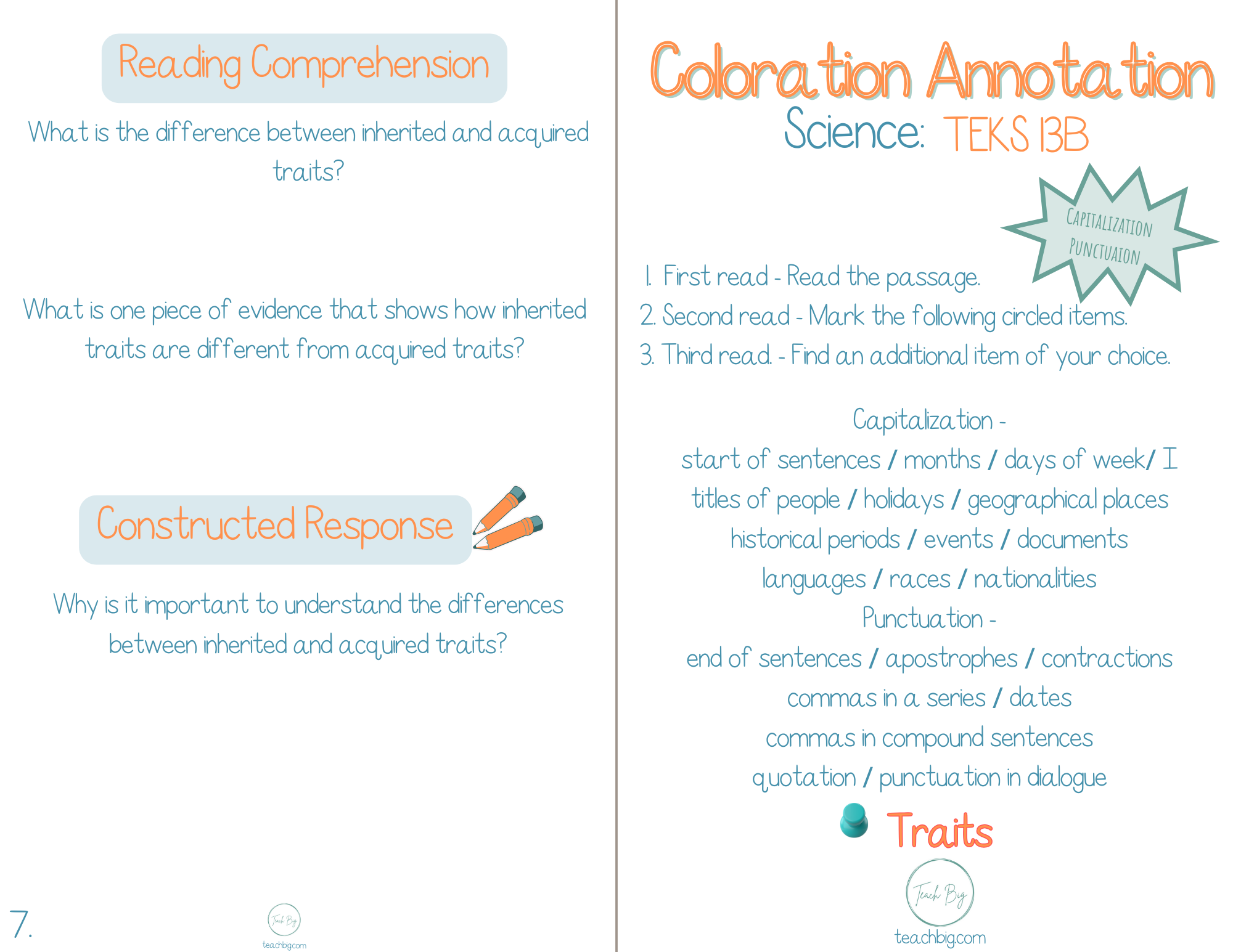 4Th Grade Coloration Annotation: Science - Capitalization & Punctuation