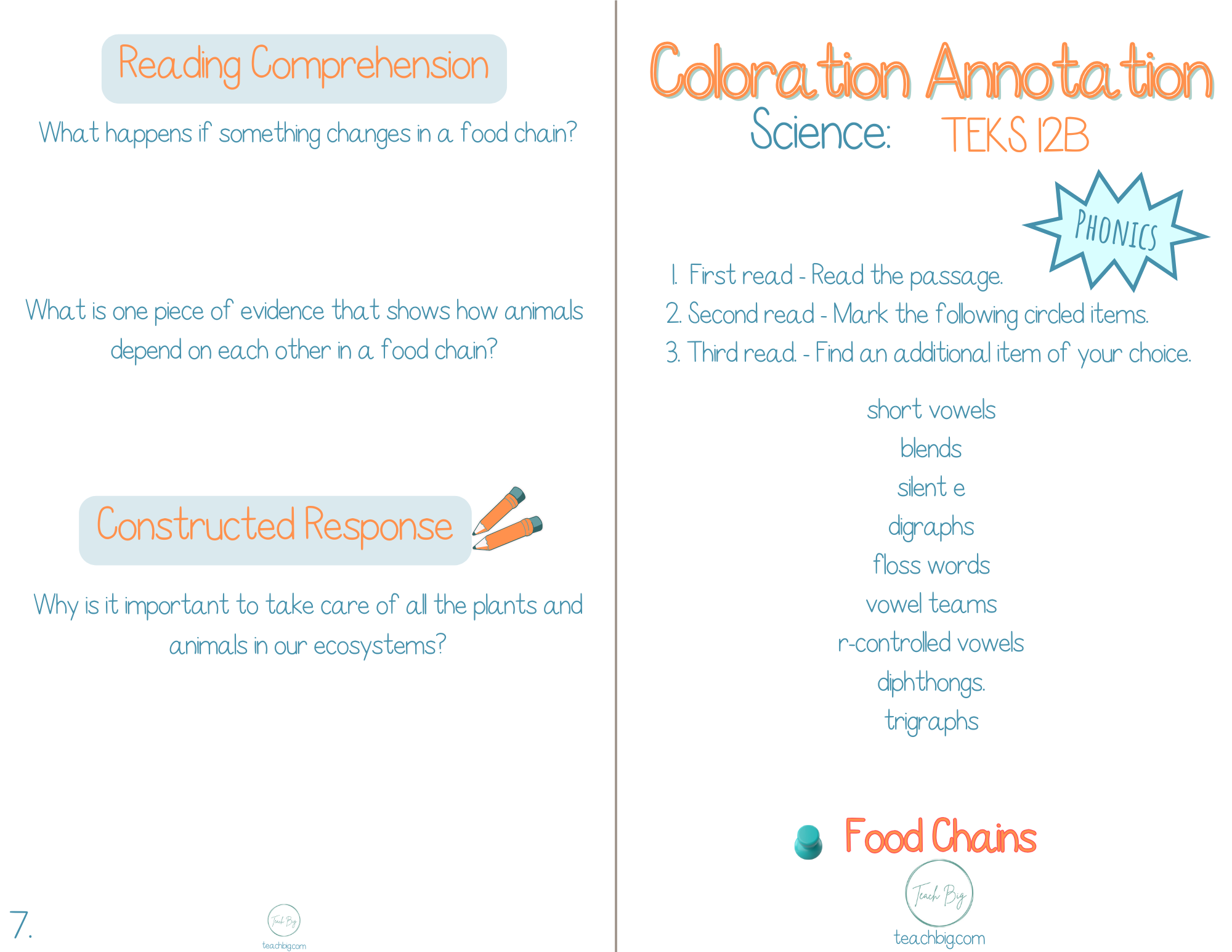 3Rd Grade Coloration Annotation: Science - Phonics