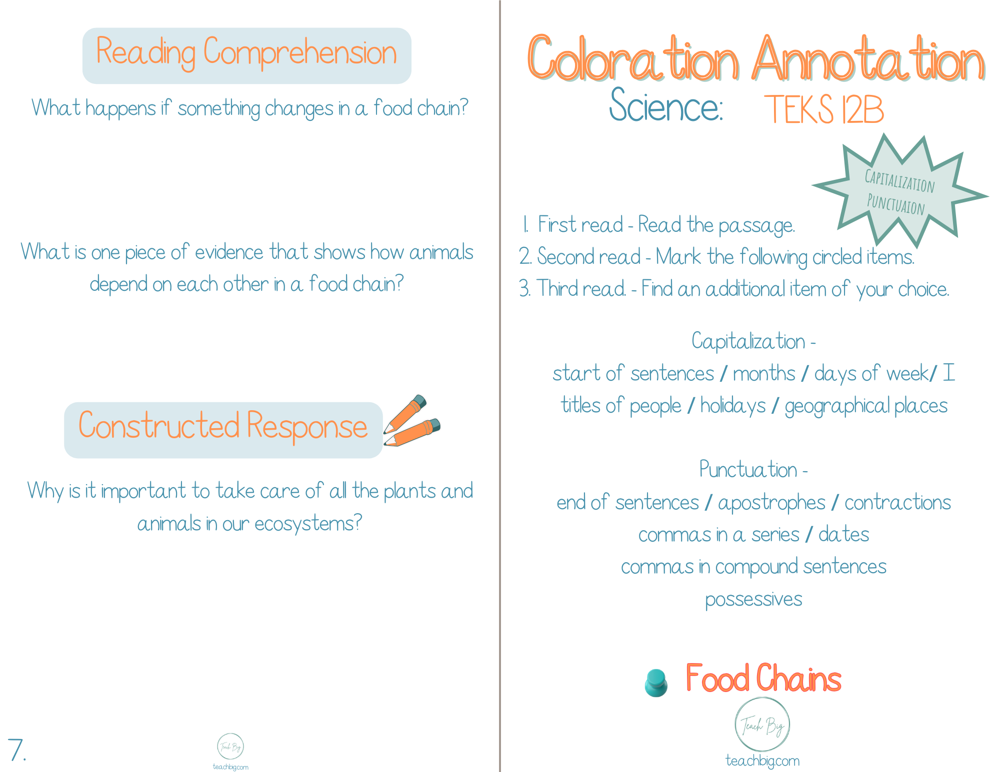 3Rd Grade Coloration Annotation: Science - Capitalization & Punctuation