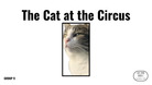 Direct Decodable – The Cat At The Circus - Group 9 Level A