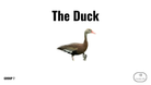 Direct Decodable – The Duck - Group 7 Level A