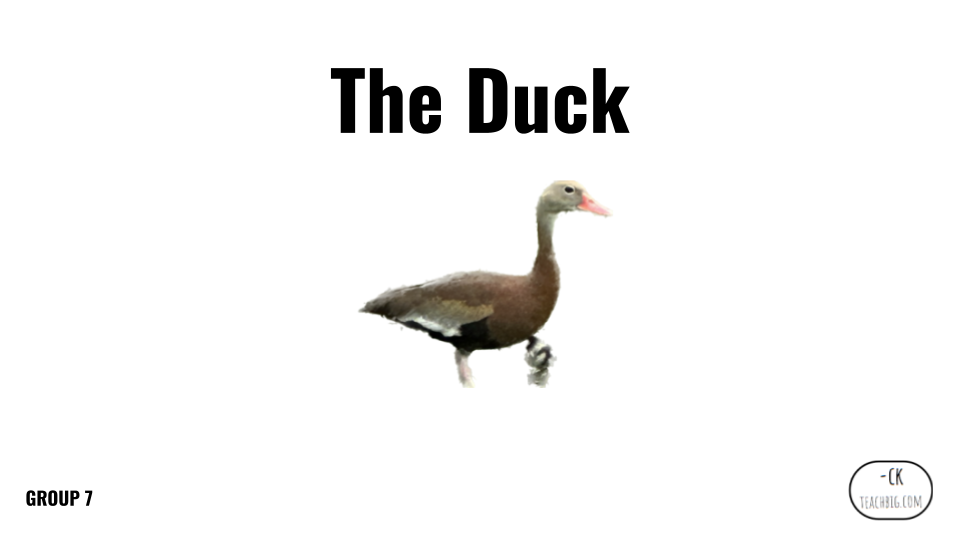 Direct Decodable – The Duck - Group 7 Level A