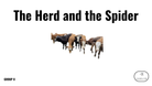 Direct Decodable – The Herd And The Spider - Group 8 Level A