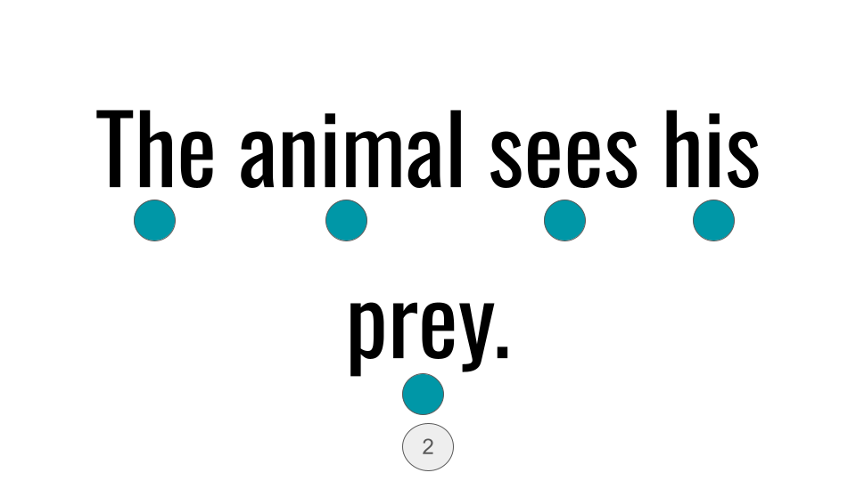 Direct Decodable – The Prey Is Grey - Group 14 Level A