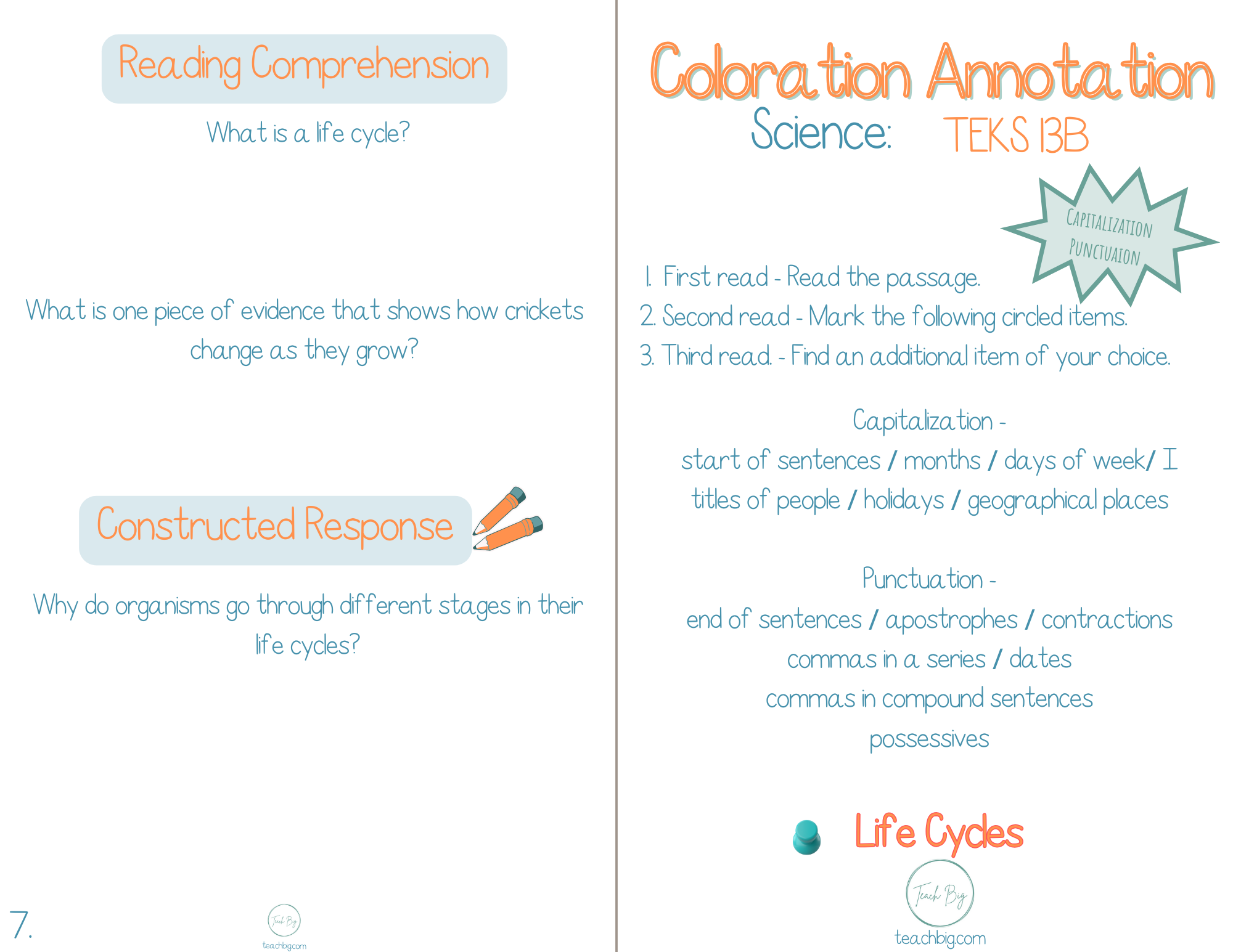 3Rd Grade Coloration Annotation: Science - Capitalization & Punctuation